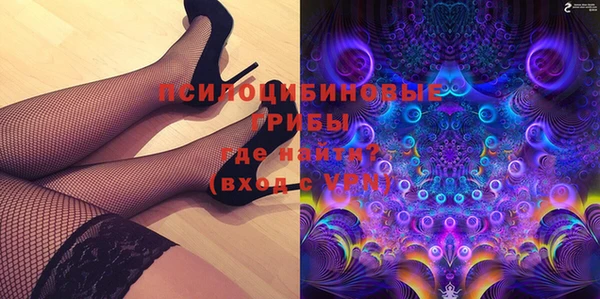 индика Алзамай