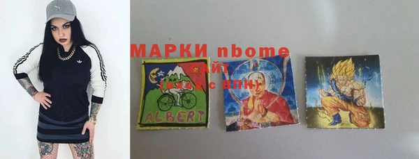 индика Алзамай