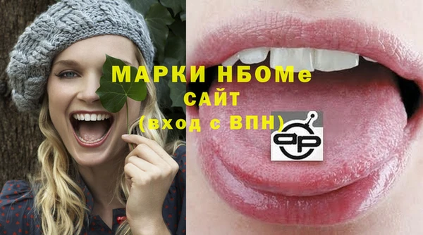индика Алзамай